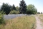 apartament NBS-GS-281